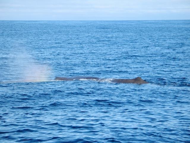 Urlaub in Norwegen 2006